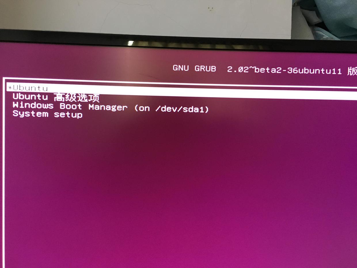 Ubuntu 安装